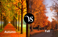 Difference between autumn and fall