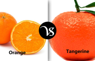 Difference between orange and tangerine