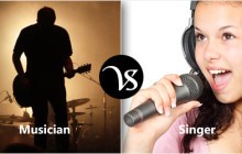 Difference between musician and singer