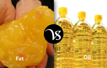 Difference between fat and oil