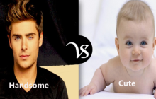 Difference between handsome and cute