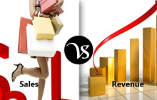 Difference between sales and revenue