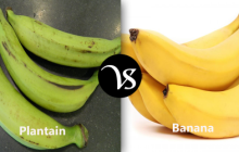 Difference between plantain and banana