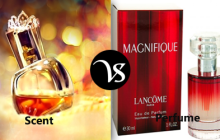 Difference between scent and perfume