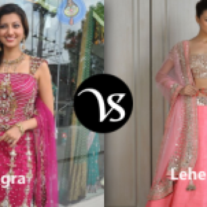Difference Between Ghagra And Lehenga Difference All The women's lehenga is meant for special occasions, while the ghagra is a traditional skirt used in daily lives. difference between cape cobra and puff adder