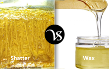 Difference between shatter and wax