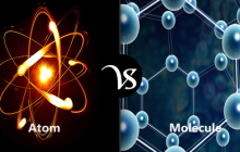 Difference between atom and molecule