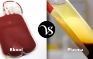 Difference between blood and plasma