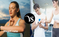 Difference between heart rate and pulse