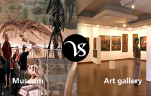 Difference between museum and art gallery