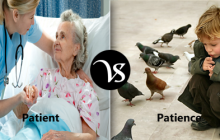 Difference between patient and patience