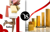 Difference between sales and revenue