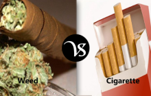 Difference between weed and cigarette