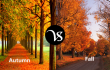 Difference between autumn and fall