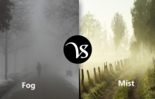 Difference between fog and mist