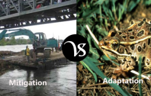 Difference between mitigation and adaptation