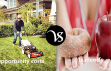 Difference between opportunity cost and trade offs
