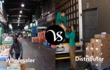 Difference between wholesaler and distributor