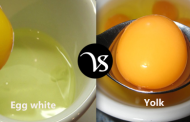 Difference between egg white and yolk