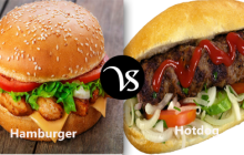 Difference between hamburger and hot dog
