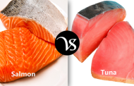 Difference between salmon and tuna