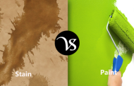 Difference between stain and paint