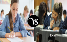 Difference between test and exam