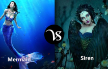 Difference between mermaid and siren