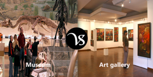 Difference Between Museum And Art Gallery - Difference All