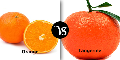 tangerine vs orange tree pictures