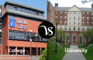 Difference between college and university