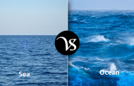 Difference between Sea and Ocean