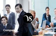 Difference between company and business