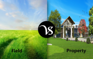 Difference between field and property