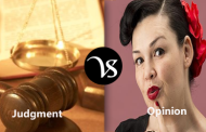 Difference between judgment and opinion