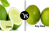 Difference between lime and key lime