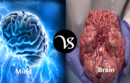Difference between mind and brain