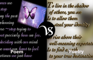 Difference between poem and poetry