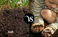 Difference between soil and dirt