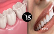 Difference between teeth and tooth