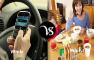 Difference between while and whilst