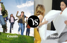 Difference between cousin and niece