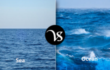 Difference between Sea and Ocean