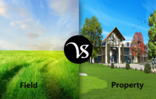 Difference between field and property