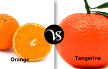 Difference between orange and tangerine