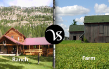 Difference between ranch and farm