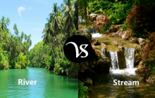 Difference between river and stream