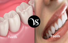 Difference between teeth and tooth