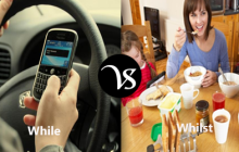 Difference between while and whilst
