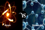 Difference between assignment and homework